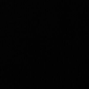 Meet your Posher, Mya